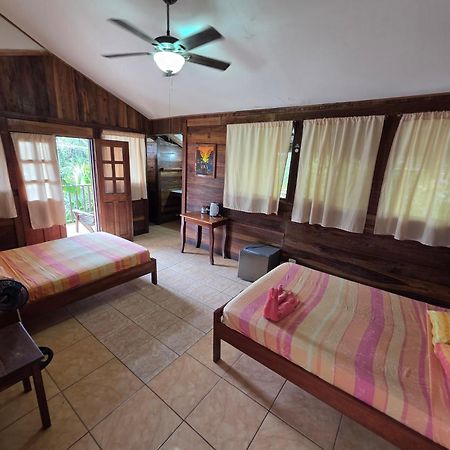 Perla Negra Beachfront Puerto Viejo de Talamanca Bagian luar foto