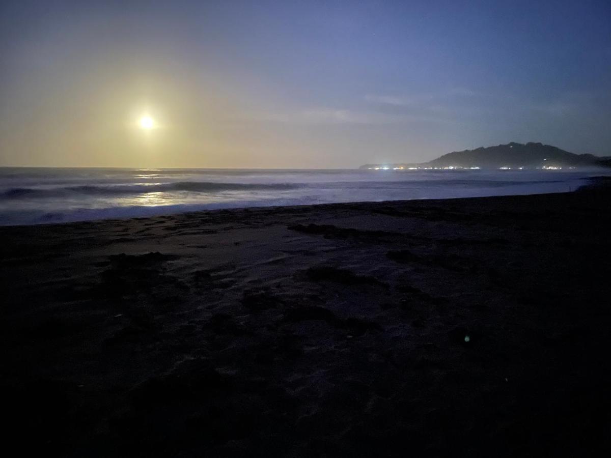 Perla Negra Beachfront Puerto Viejo de Talamanca Bagian luar foto