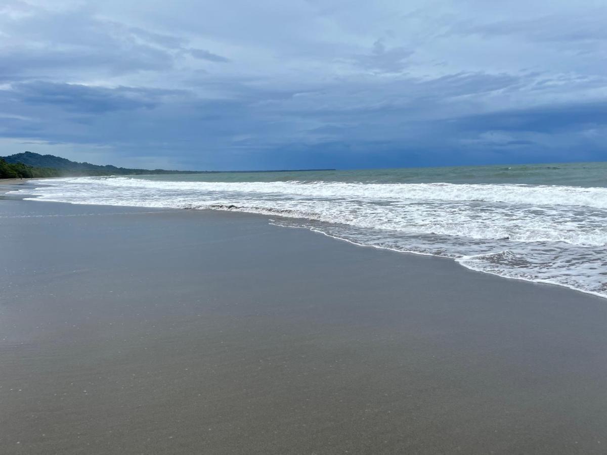 Perla Negra Beachfront Puerto Viejo de Talamanca Bagian luar foto