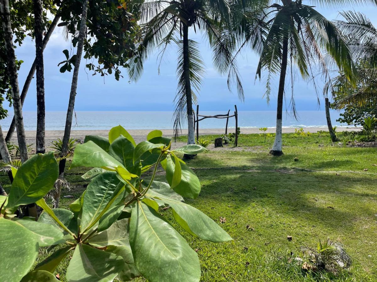 Perla Negra Beachfront Puerto Viejo de Talamanca Bagian luar foto