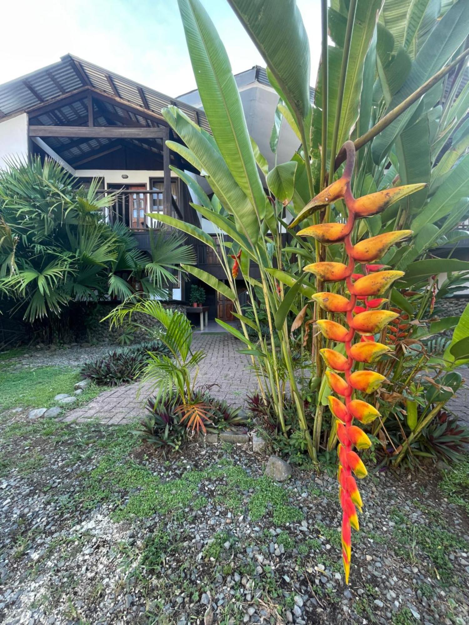 Perla Negra Beachfront Puerto Viejo de Talamanca Bagian luar foto