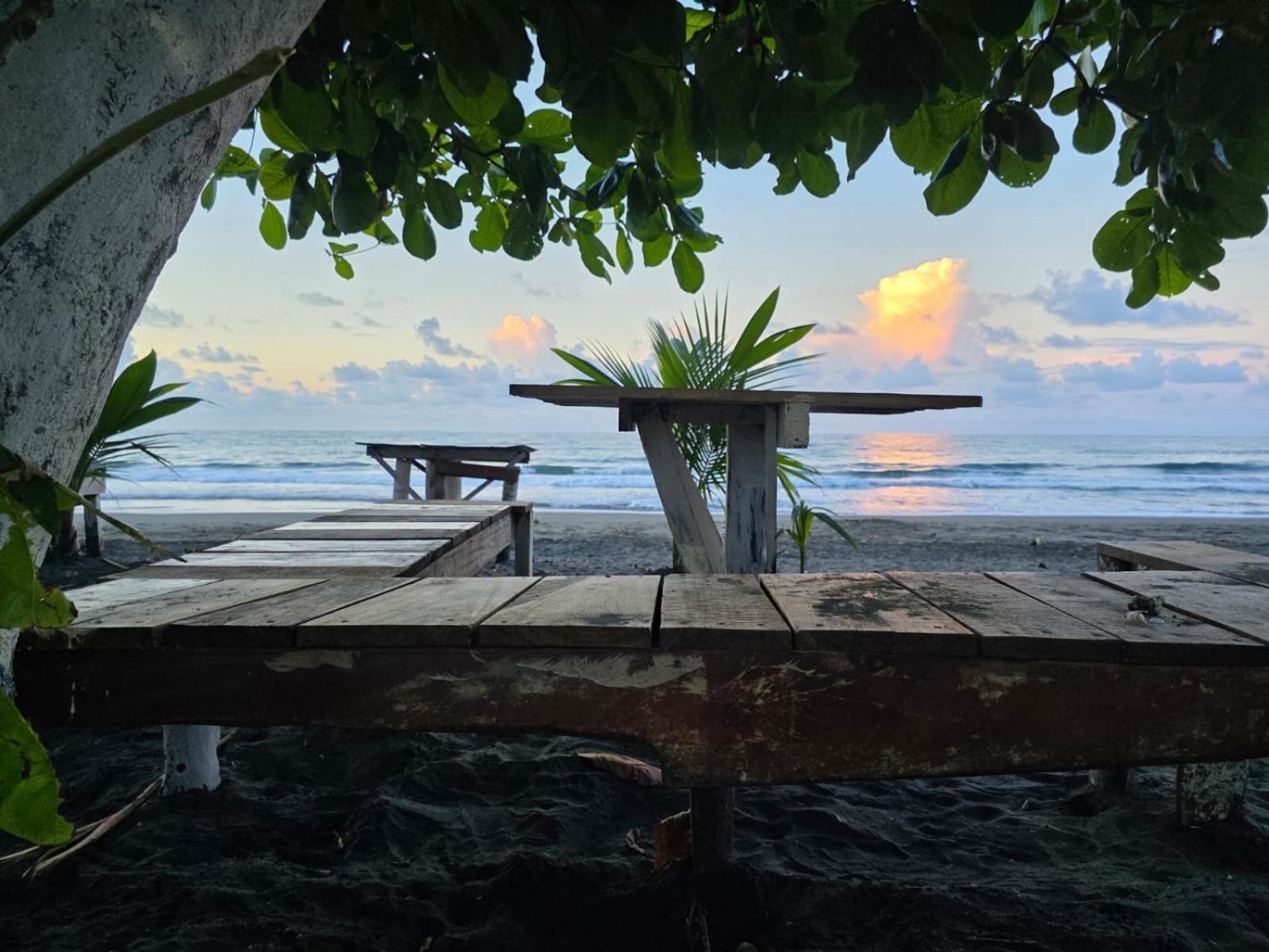 Perla Negra Beachfront Puerto Viejo de Talamanca Bagian luar foto